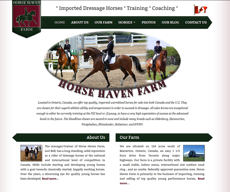 horse haven - Website Design